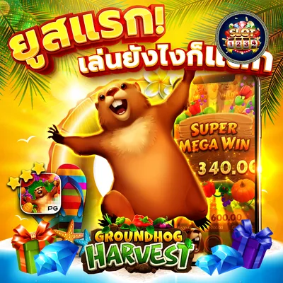 โปรโมชั่น slot pg to